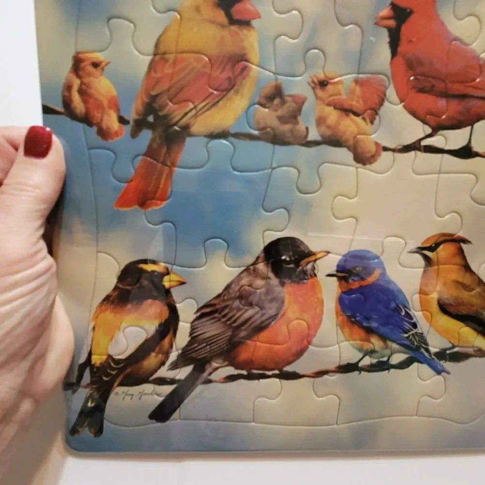 NEW Cobble Hill Tray Puzzle Blue Sky Birds